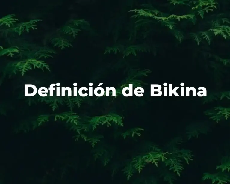 Definición de Bikina