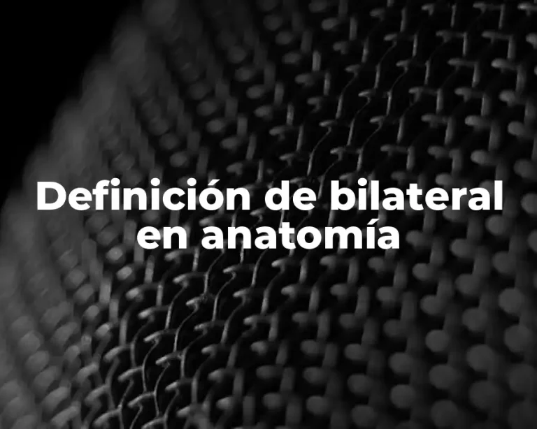 Definición de bilateral en anatomía