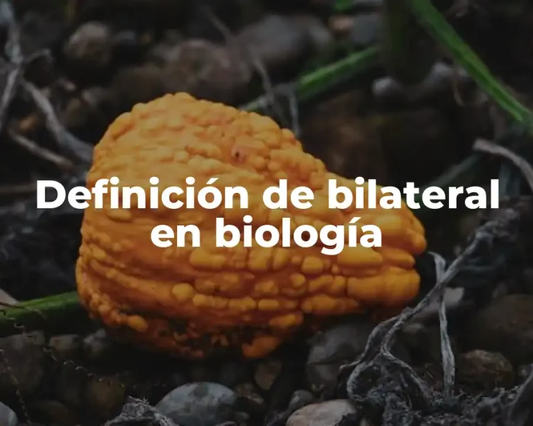 Definición de bilateral en biología