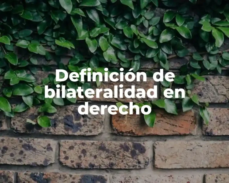 Definición de bilateralidad en derecho