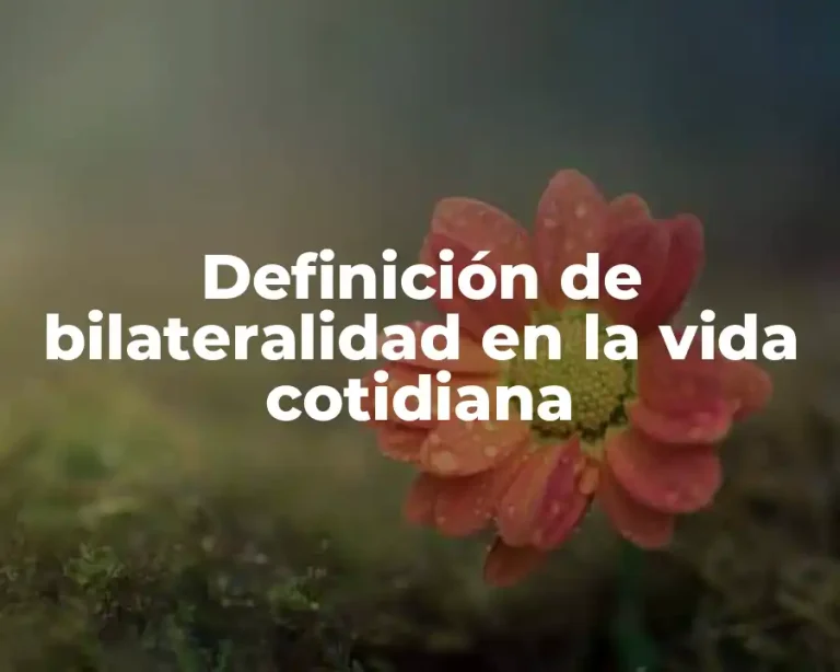 Definición de bilateralidad en la vida cotidiana