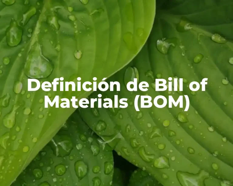 Definición de Bill of Materials (BOM)