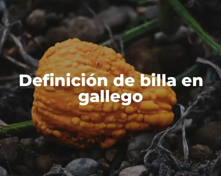 Definición de billa en gallego
