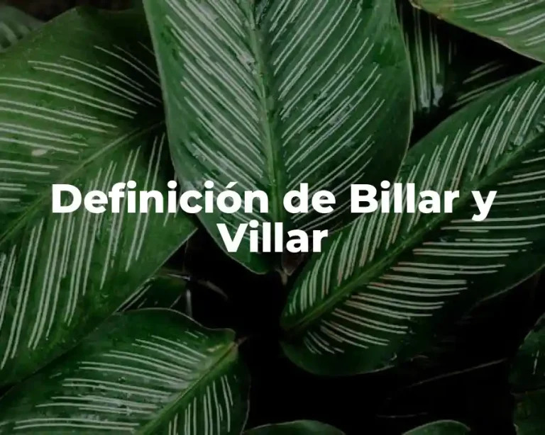 Definición de Billar y Villar