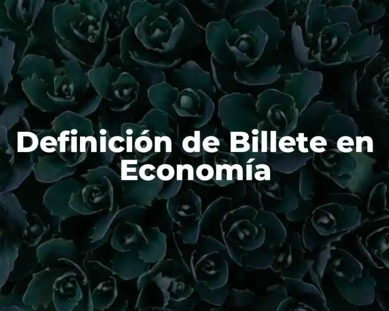 Definición de Billete en Economía