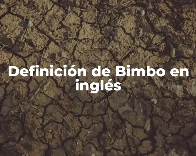 Definición de Bimbo en inglés