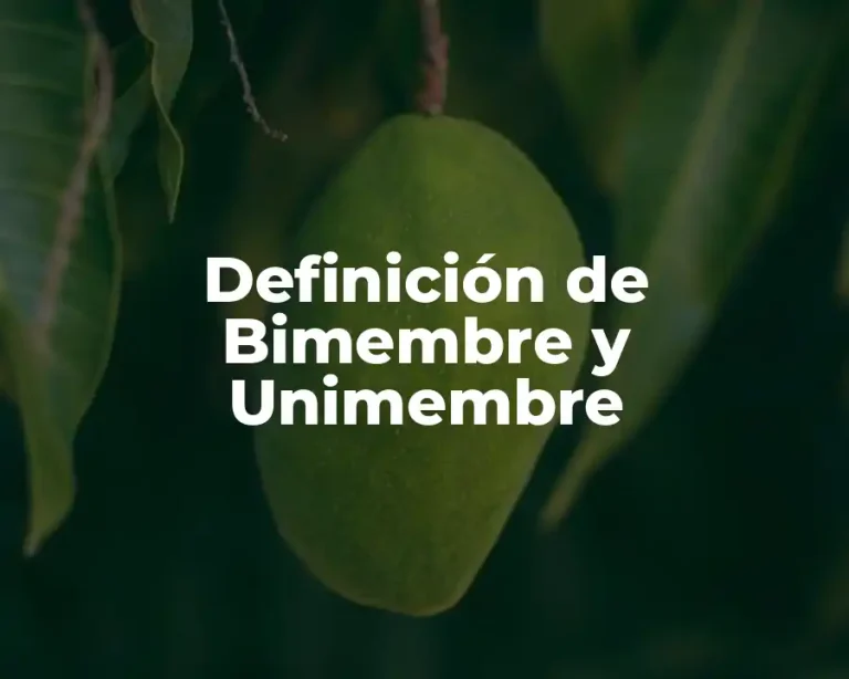 Definición de Bimembre y Unimembre
