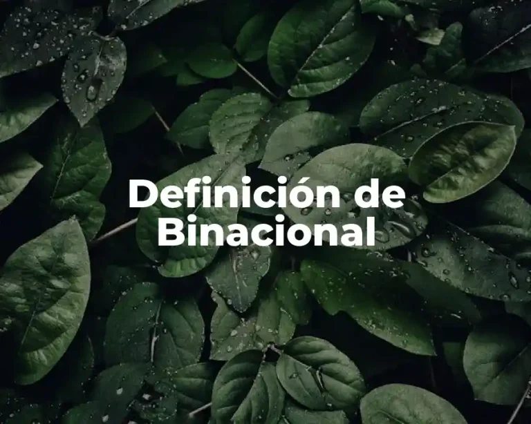 Definición de Binacional