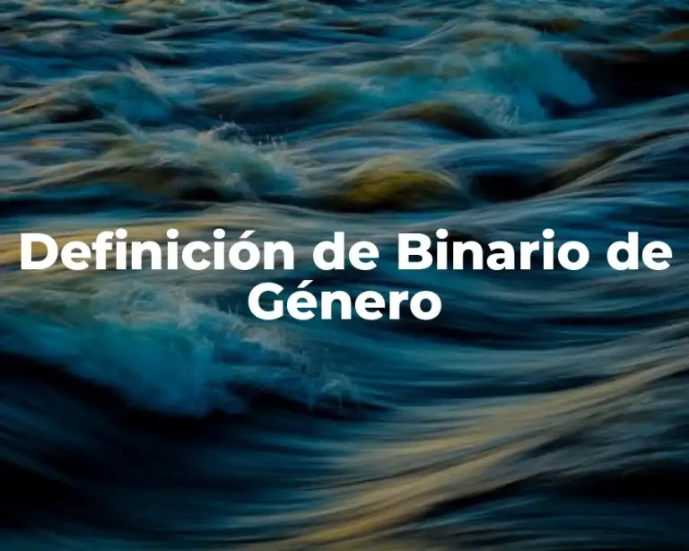 Definición de Binario de Género