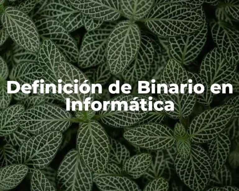 Definición de Binario en Informática
