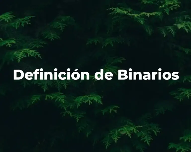 Definición de Binarios