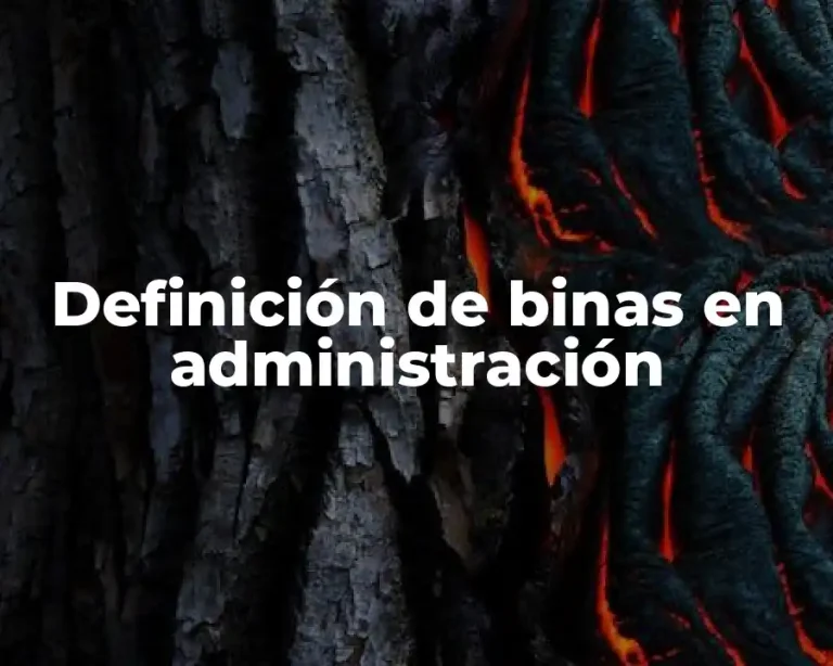 Definición de binas en administración