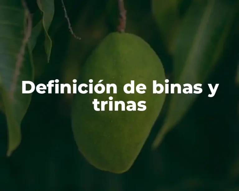 Definición de binas y trinas