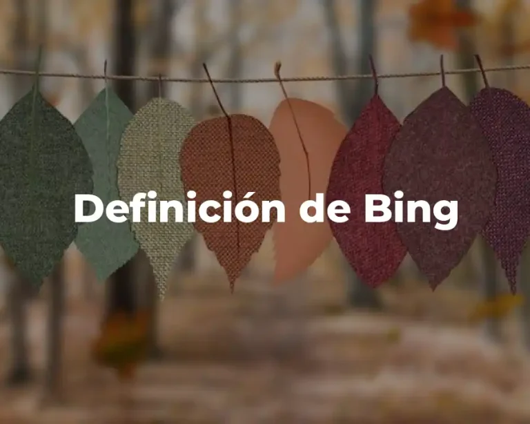 Definición de Bing