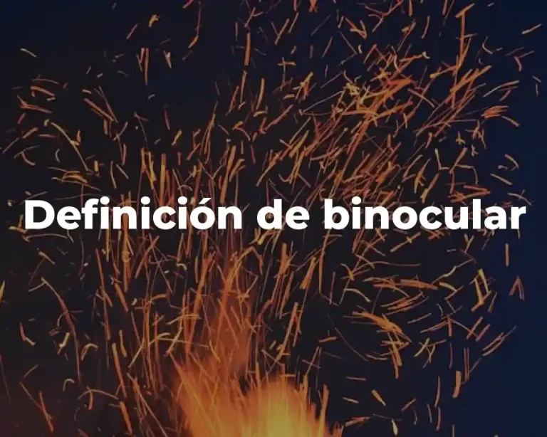 Definición de binocular