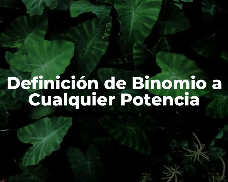 Definición de Binomio a Cualquier Potencia