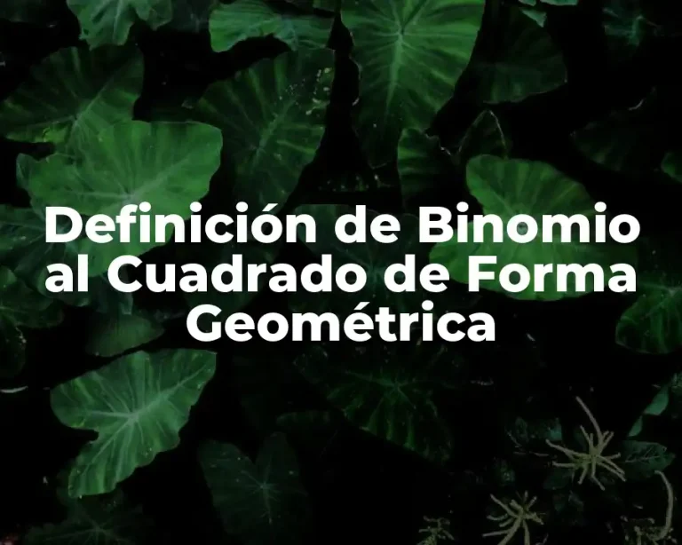 Definición de Binomio al Cuadrado de Forma Geométrica
