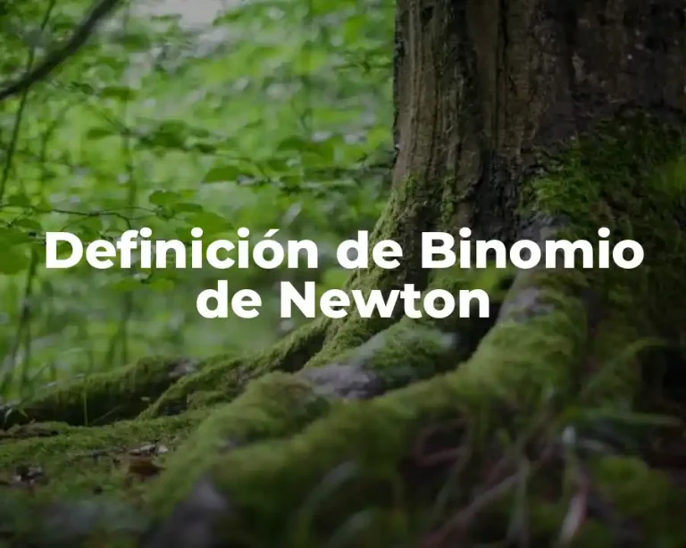 Definición de Binomio de Newton