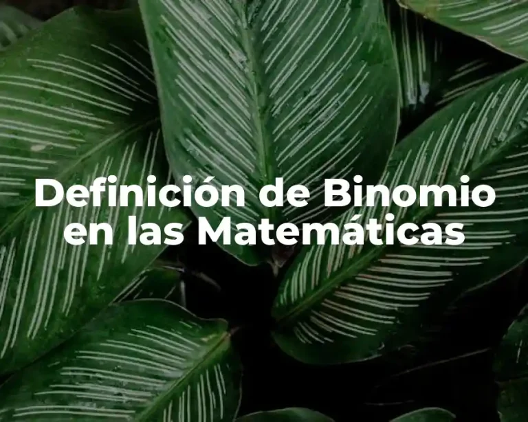 Definición de Binomio en las Matemáticas
