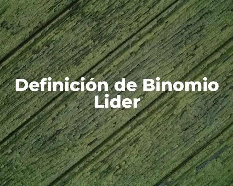 Definición de Binomio Lider