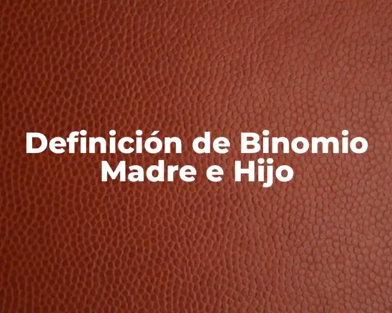 Definición de Binomio Madre e Hijo