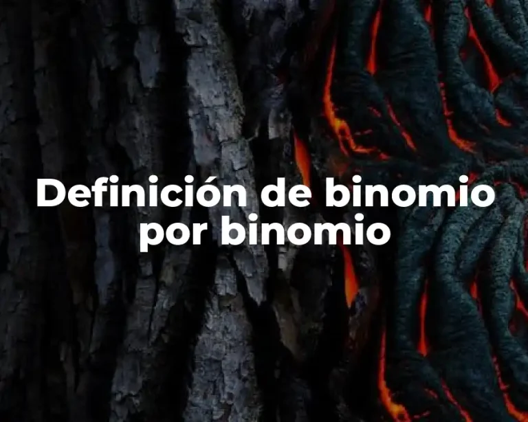 Definición de binomio por binomio