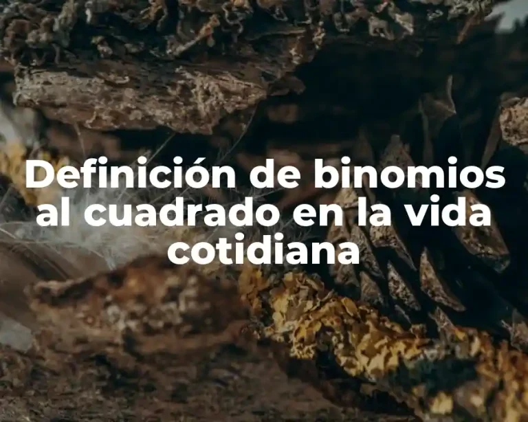 Definición de binomios al cuadrado en la vida cotidiana