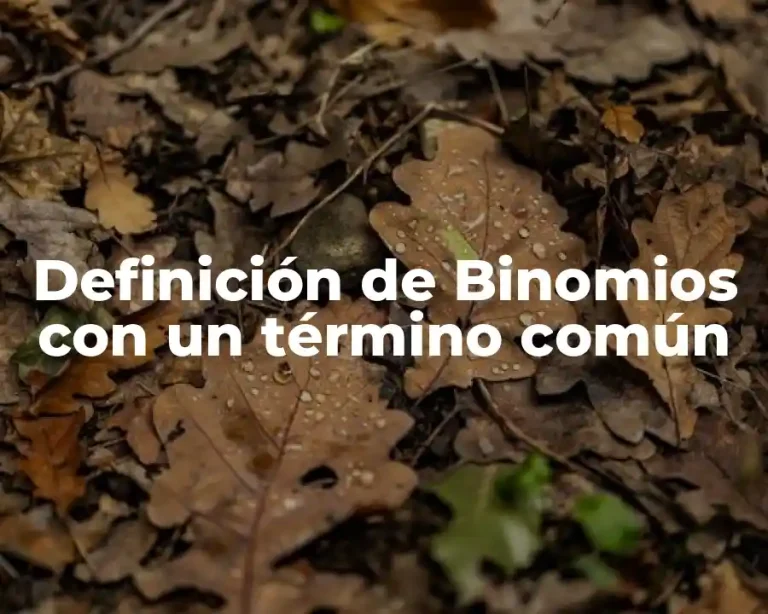 Definición de Binomios con un término común