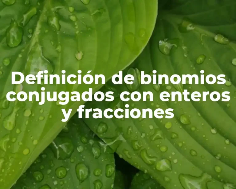Definición de binomios conjugados con enteros y fracciones