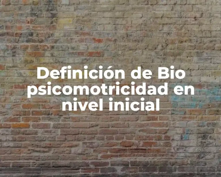 Definición de Bio psicomotricidad en nivel inicial