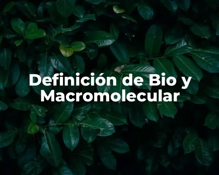 Definición de Bio y Macromolecular