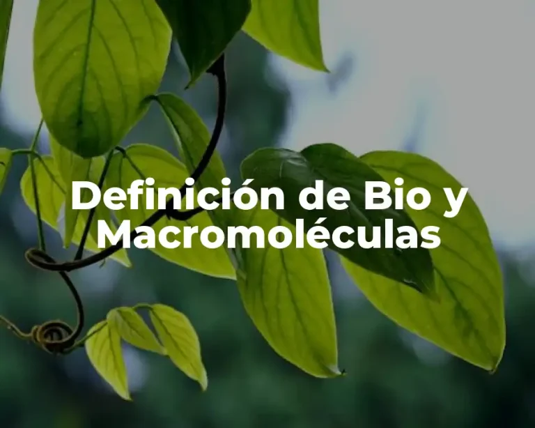 Definición de Bio y Macromoléculas