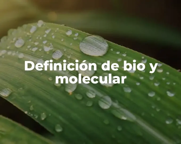 Definición de bio y molecular