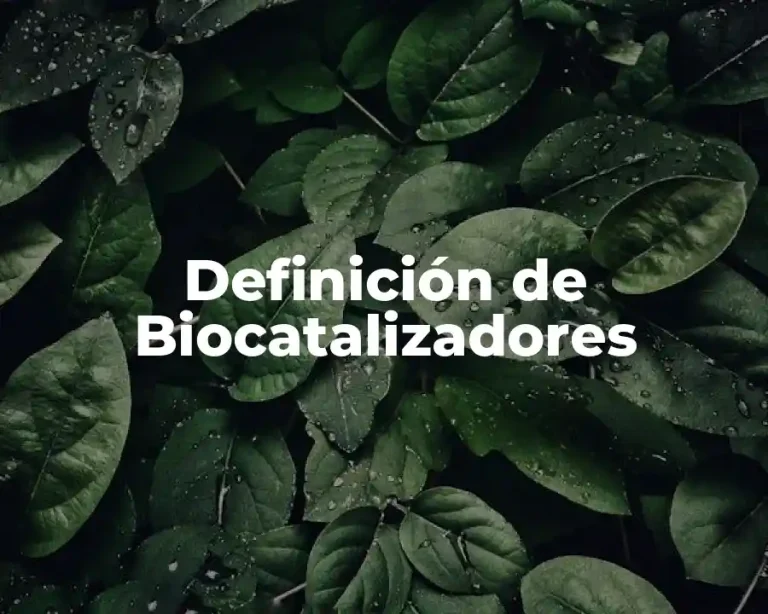 Definición de Biocatalizadores