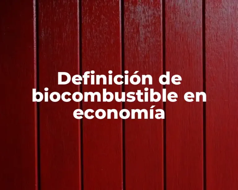 Definición de biocombustible en economía