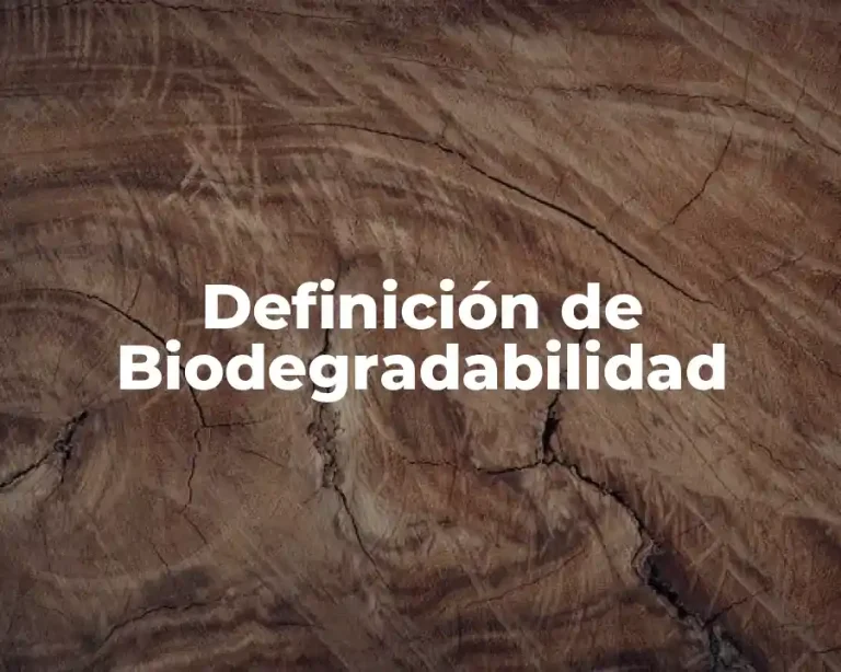 Definición de Biodegradabilidad