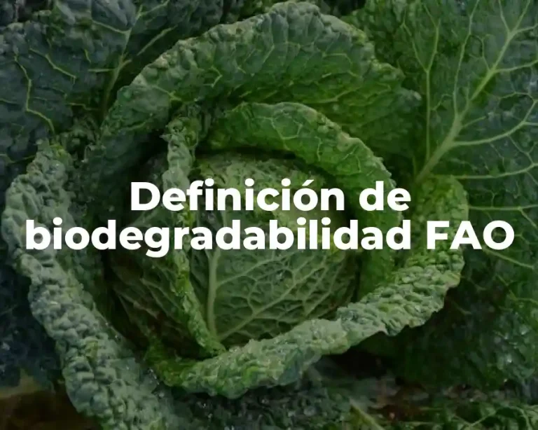 Definición de biodegradabilidad FAO