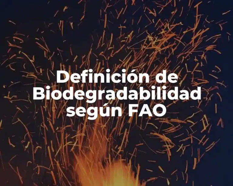 Definición de Biodegradabilidad según FAO