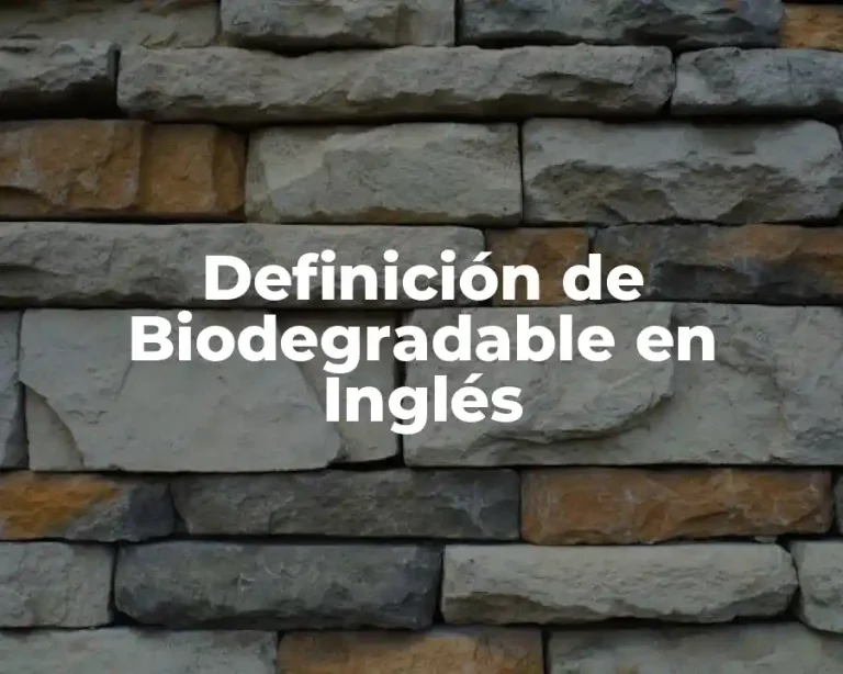 Definición de Biodegradable en Inglés