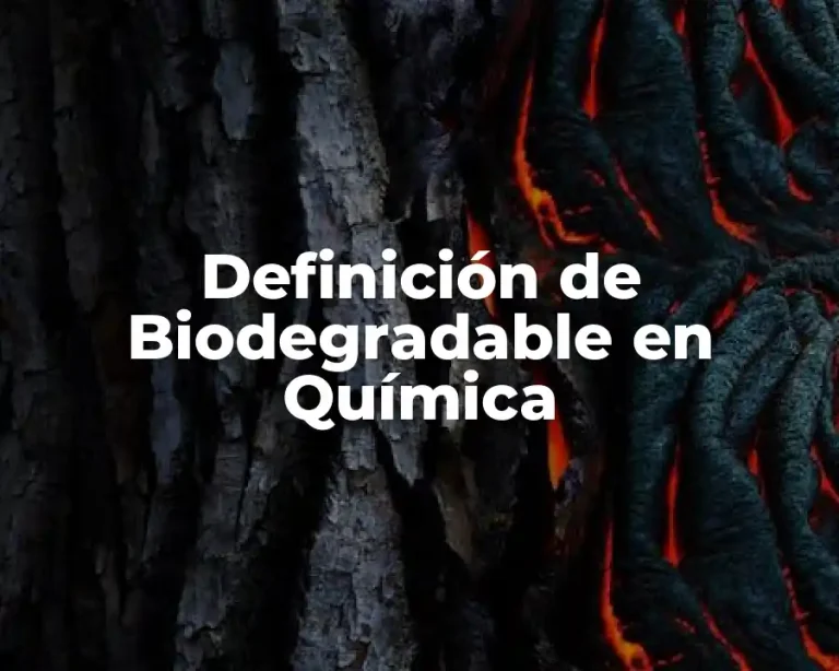 Definición de Biodegradable en Química
