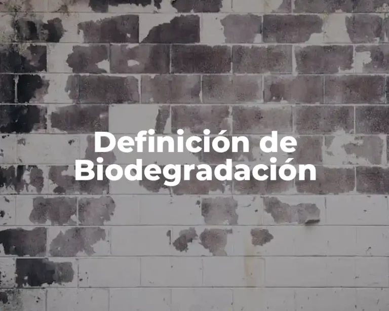 Definición de Biodegradación