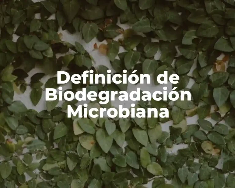 Definición de Biodegradación Microbiana