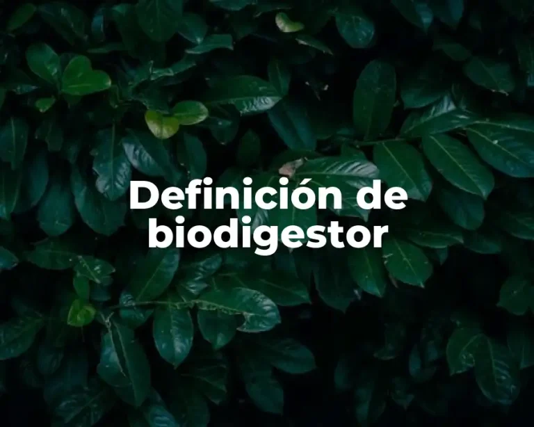 Definición de biodigestor
