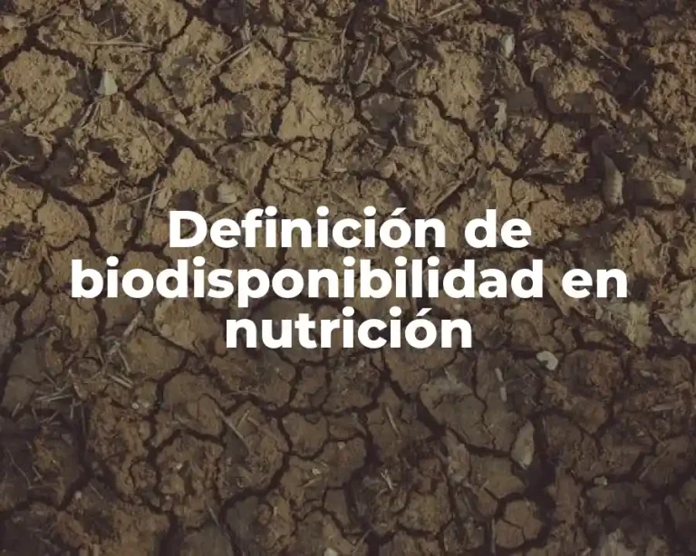 Definición de biodisponibilidad en nutrición