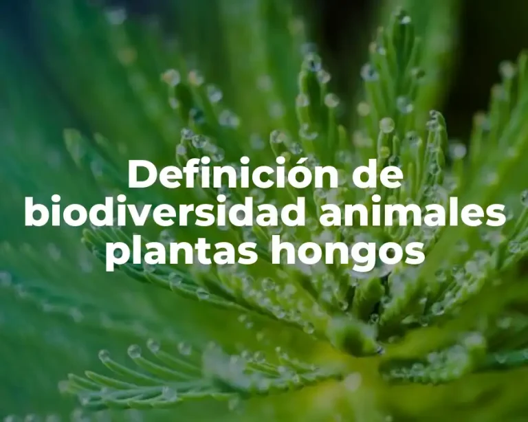 Definición de biodiversidad animales plantas hongos