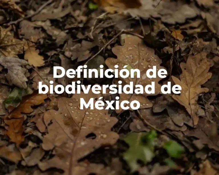 Definición de biodiversidad de México