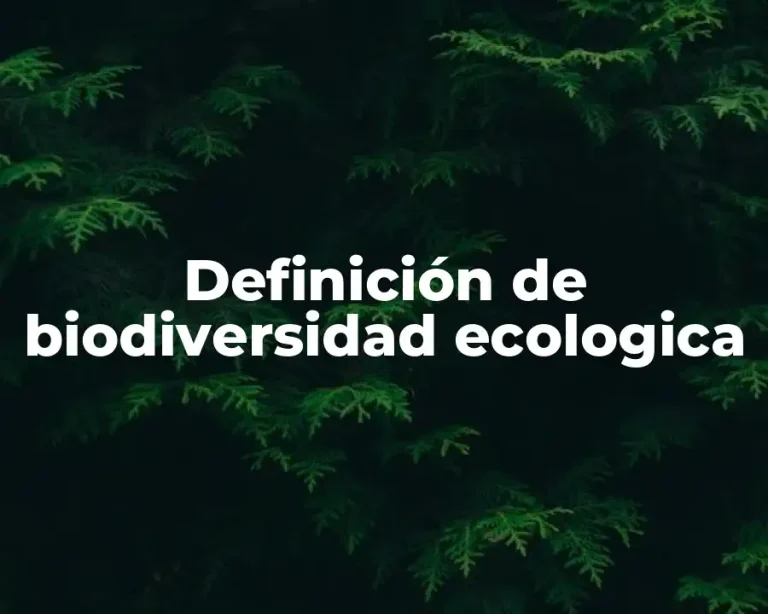 Definición de biodiversidad ecologica