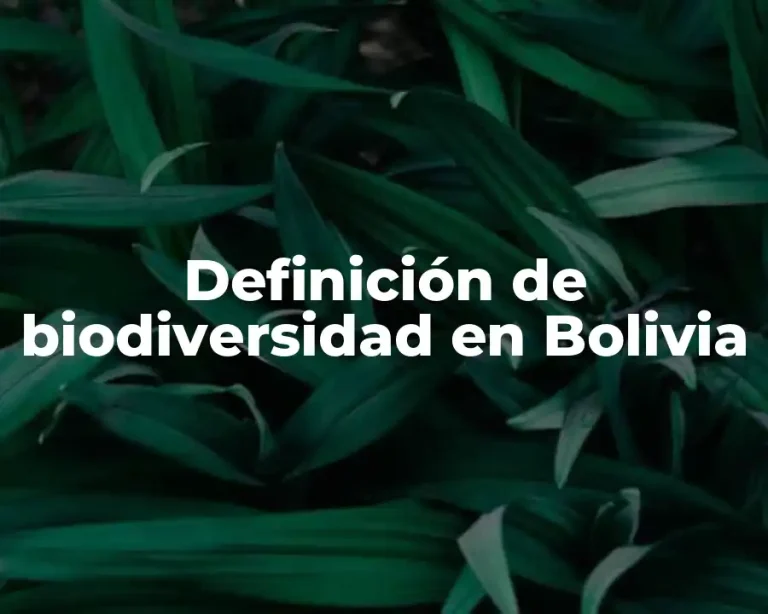 Definición de biodiversidad en Bolivia