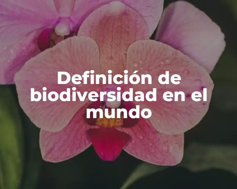 Definición de biodiversidad en el mundo