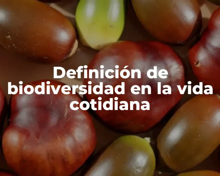 Definición de biodiversidad en la vida cotidiana